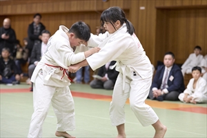 大会の様子