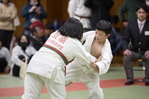 大会の様子