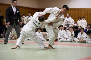 大会の様子