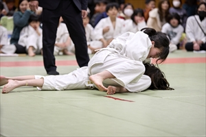 大会の様子